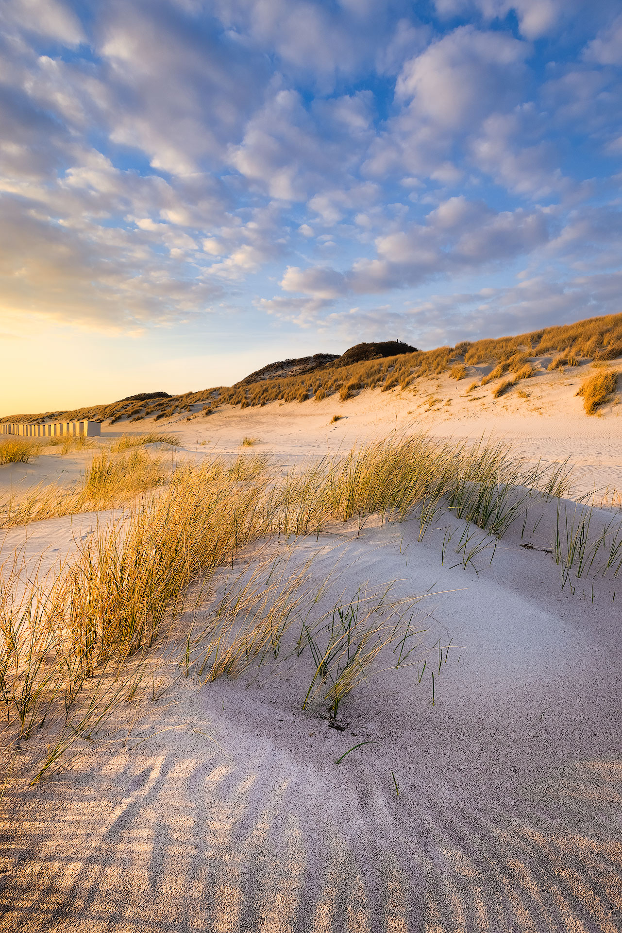 Duinen